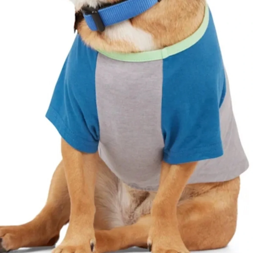 NWT Youly “the Comic” Down Dog T-shirt M